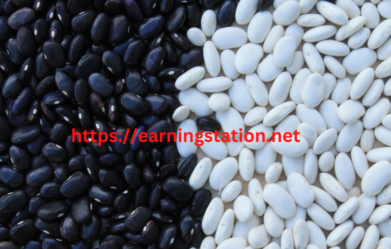 Black Beans Vs Pinto Beans || Everything You Need To Know Black Beans Vs Pinto Beans